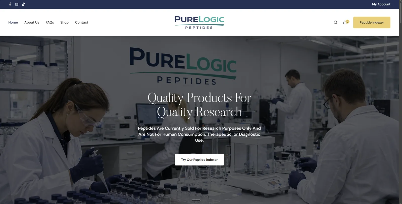 The homepage of the $3,500 website they paid for elsewhere