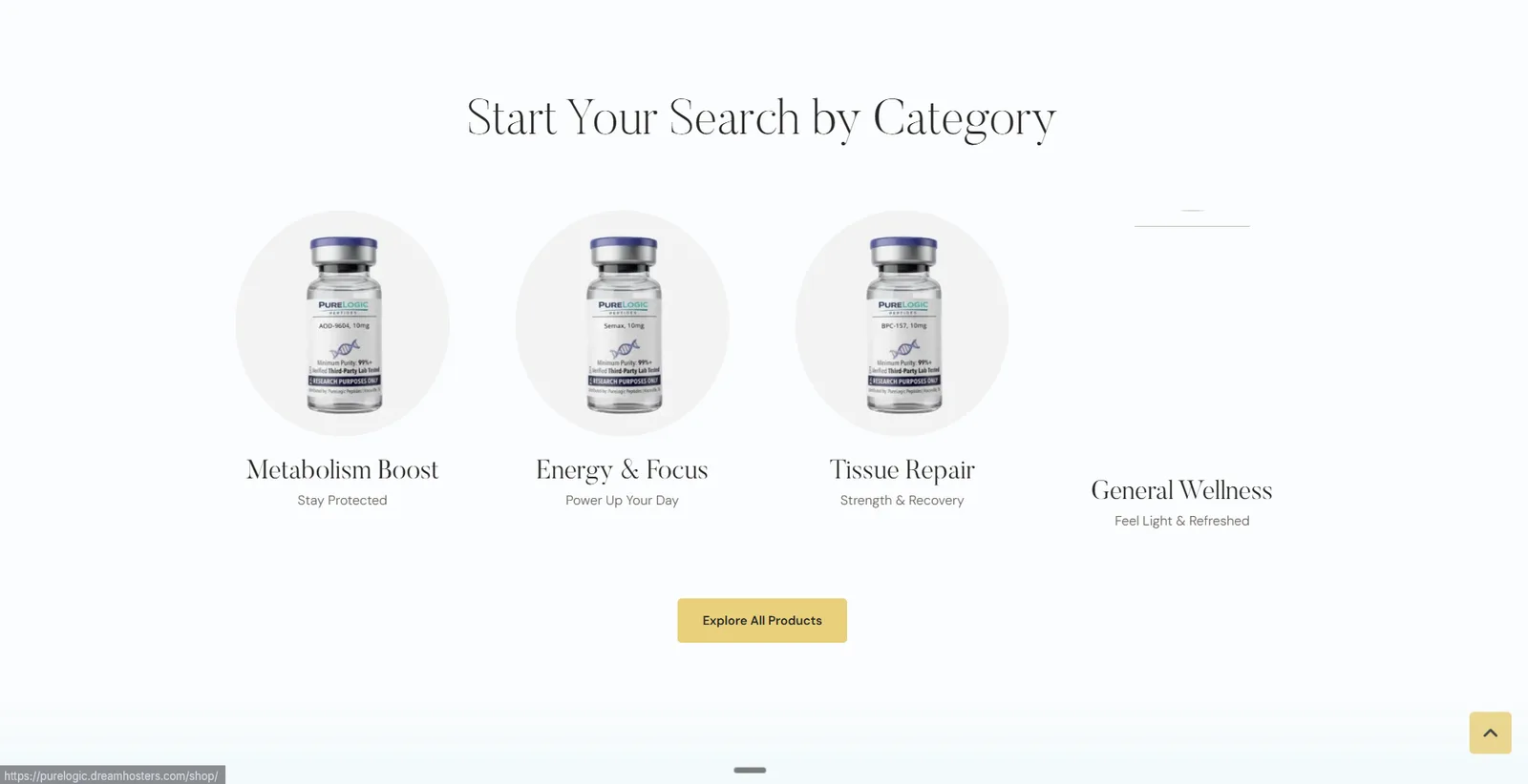 The product catalog on the old $3,500 website